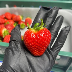 논산 금실딸기 친환경 스마트팜 생산 1kg (특) 30-35과