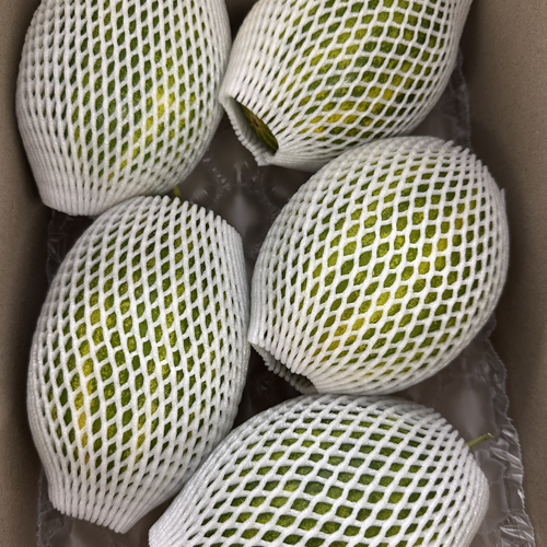 고당도 파파야 멜론 2kg
